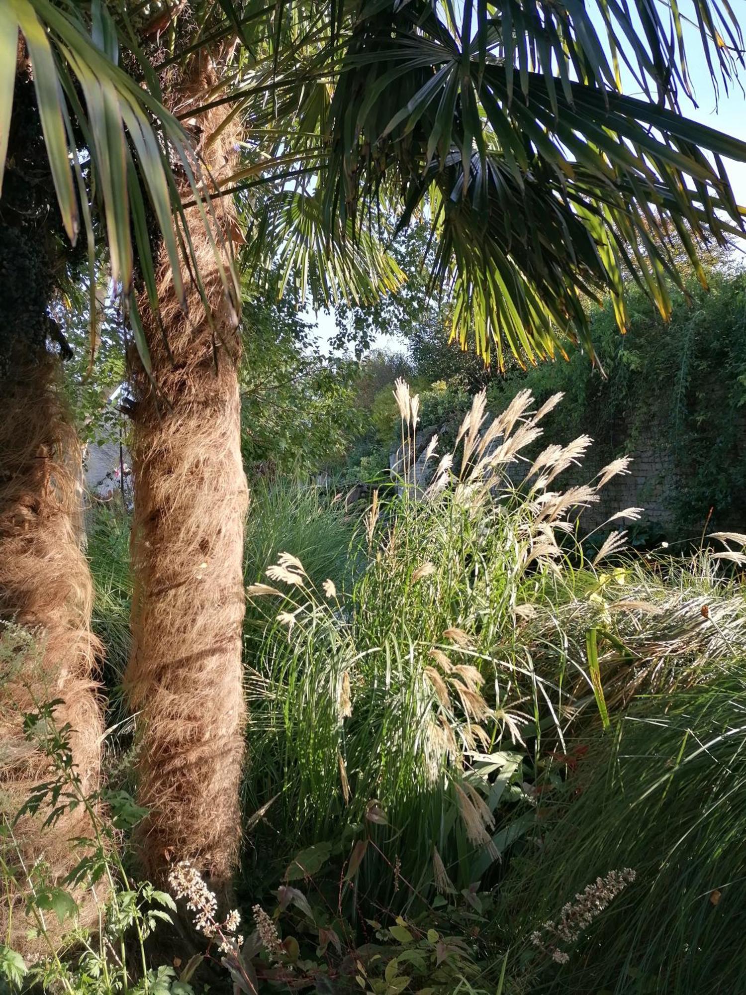 Bed and Breakfast La Malposte Reviers Esterno foto